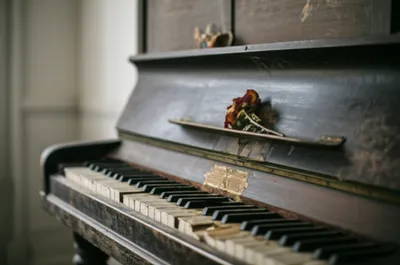 Illustration dirtier - Image 1