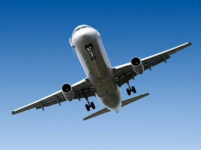 Illustration wheelbarrow - Image 1