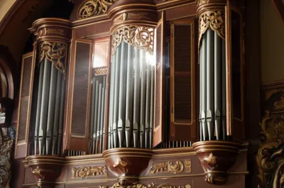 Illustration swells - Image 1