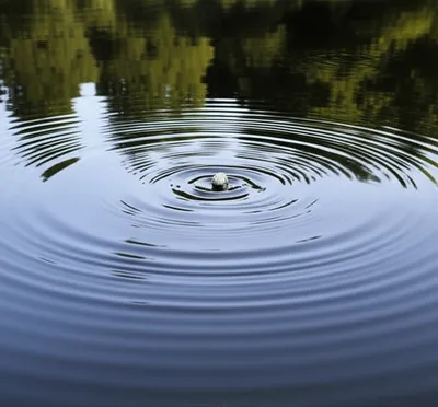 Illustration provoked - Image 1