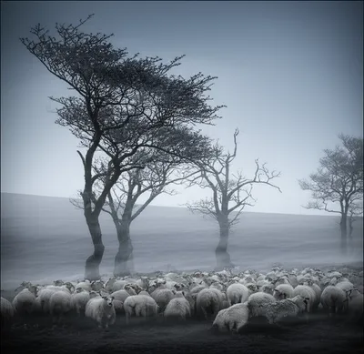 Illustration starve - Image 1