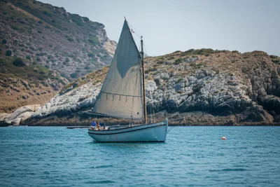 Illustration coaster - Image 1