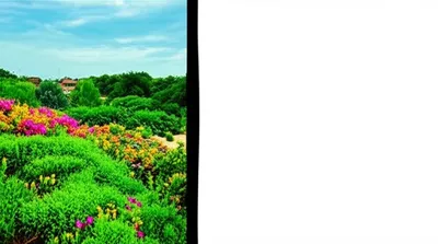 Illustration definite - Image 1