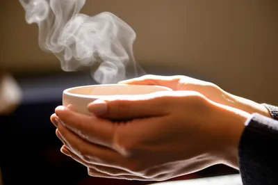 Illustration warms - Image 1