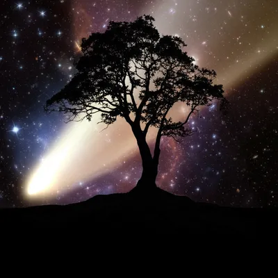 Illustration secular - Image 1