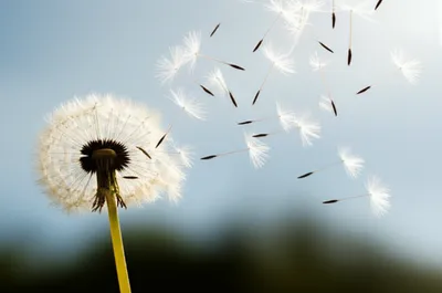 Illustration breeze - Image 1