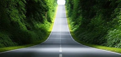 Illustration zag - Image 1