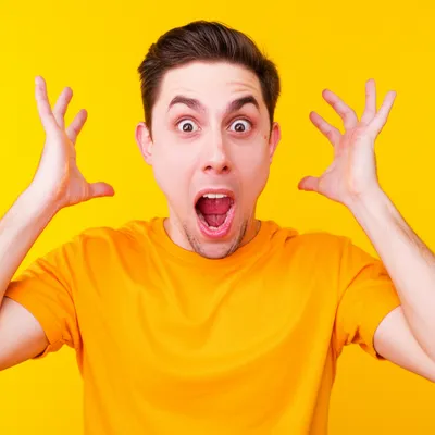 Illustration camp - Image 1