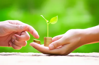 Illustration front - Image 1