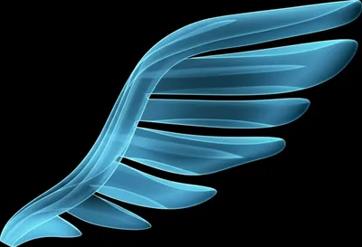 Illustration wing - Image 1