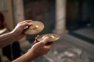 Illustration crotale - Image 1