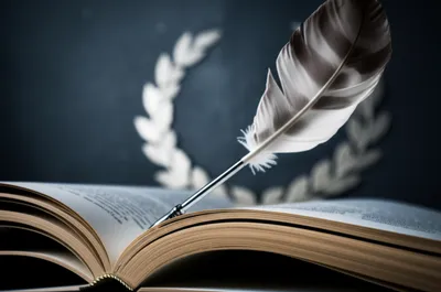 Illustration status - Image 1