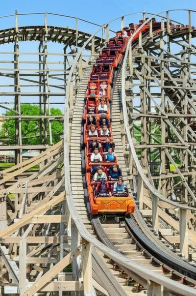 Illustration woody - Image 1