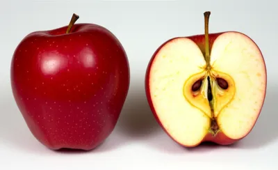 Illustration skeletons - Image 1