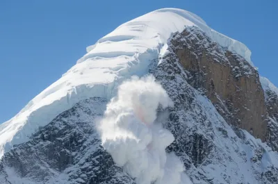 Illustration mounting - Image 1