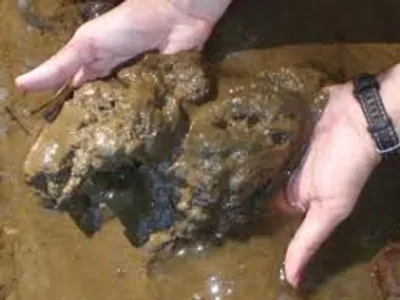 Illustration sediment - Image 2