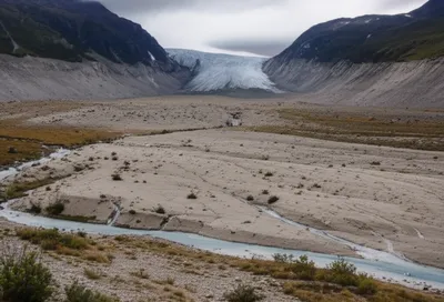 Illustration retreated - Image 1