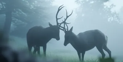 Illustration rutted - Image 1