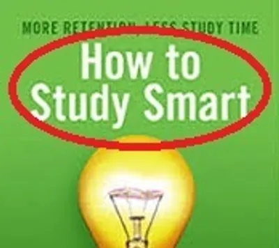 Illustration ground - Image 3