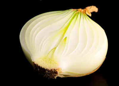 Illustration set - Image 1