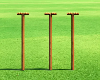 Illustration wickets - Image 1