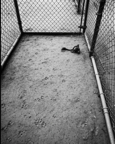 Illustration walks - Image 1