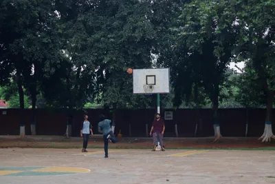 Illustration amateurs