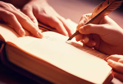 Illustration revisions - Image 1