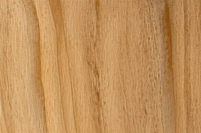 Illustration pale - Image 1