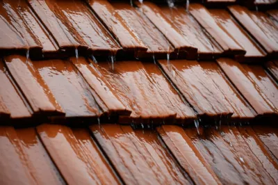 Illustration guttered - Image 1