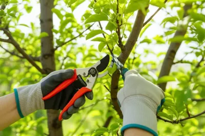 Illustration primers - Image 1