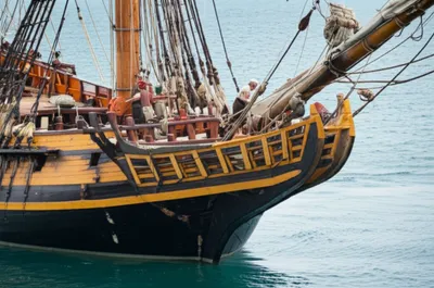 Illustration heads - Image 1