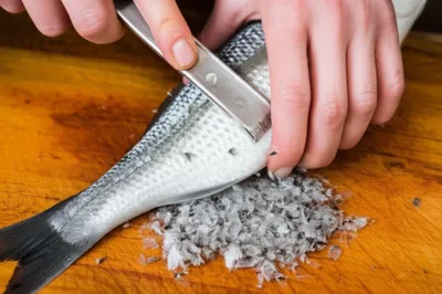 Illustration descale - Image 1