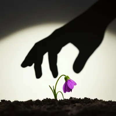 Illustration knock - Image 1