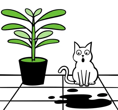 Illustration wetting - Image 1