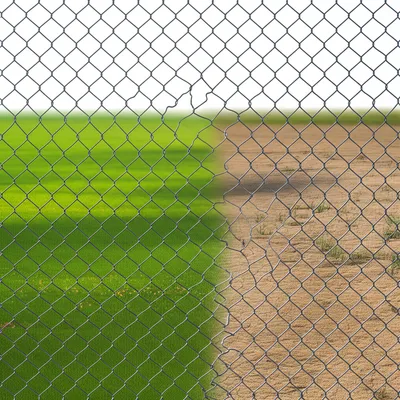 Illustration infringed - Image 1