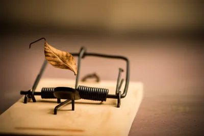 Illustration snapping - Image 1