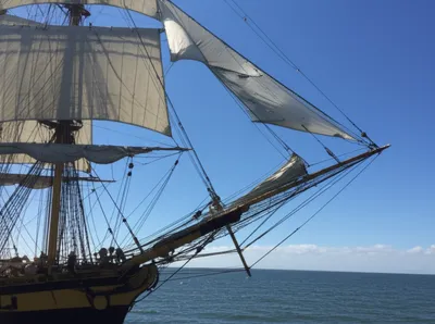 Illustration trips - Image 1