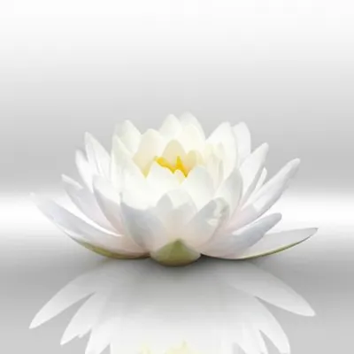minimalist