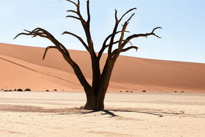 Illustration scantily