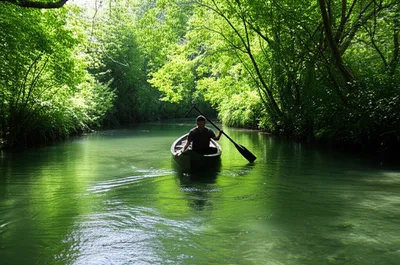 Illustration seek - Image 1