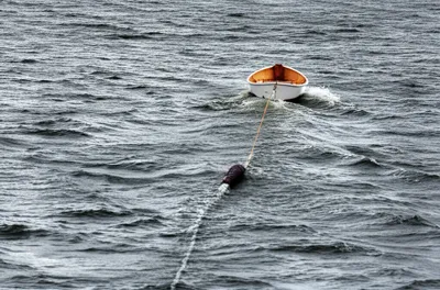 Illustration drogues - Image 1