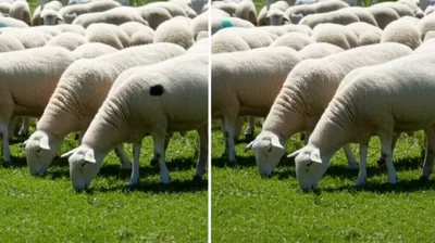 Illustration discordance - Image 1