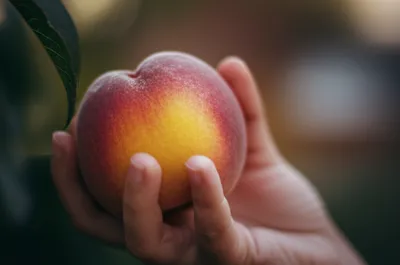 Illustration titillating - Image 1