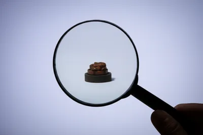 Illustration super - Image 1