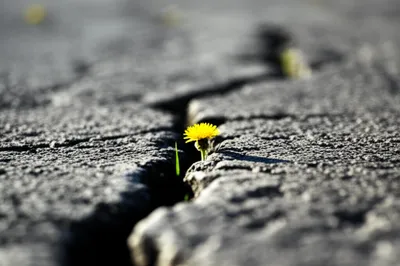 Illustration uneven - Image 1