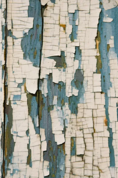 Illustration shelling - Image 1