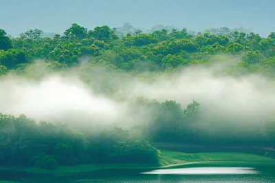 Illustration mists - Image 1