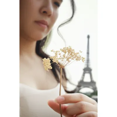 Illustration souvenirs