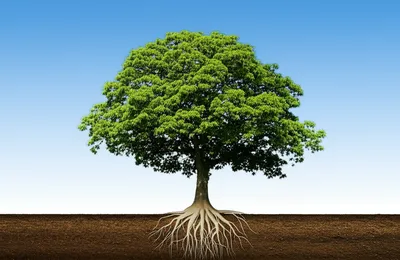 Hình ảnh minh họa independent - Ảnh 1